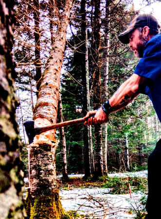 Northern Heartwood Tree Service Lot Clearing
