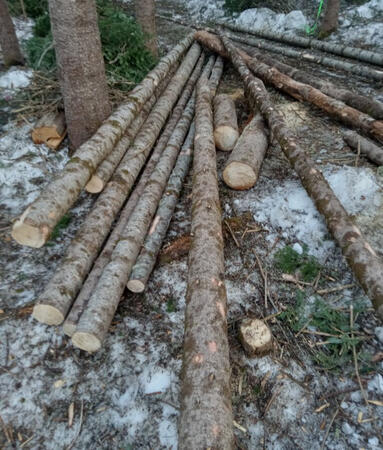 Logs Logs