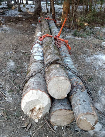 logs